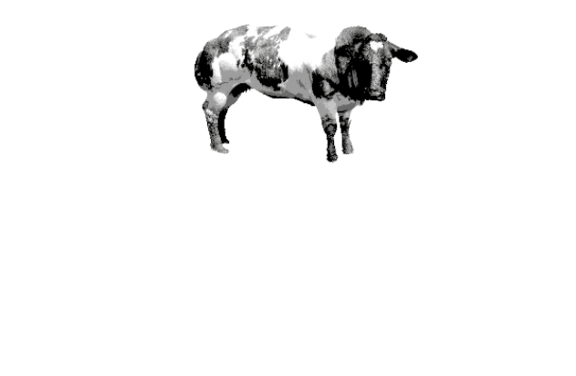 Vleesboerderij Dorrepaal